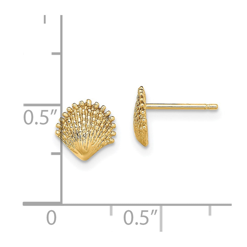 14K Scallop Shell Post Earrings