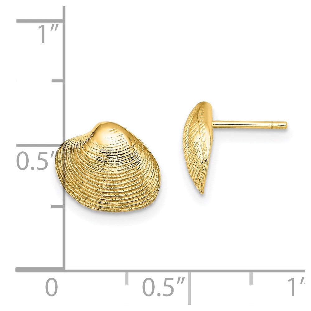 14K Clam Shell Post Earrings
