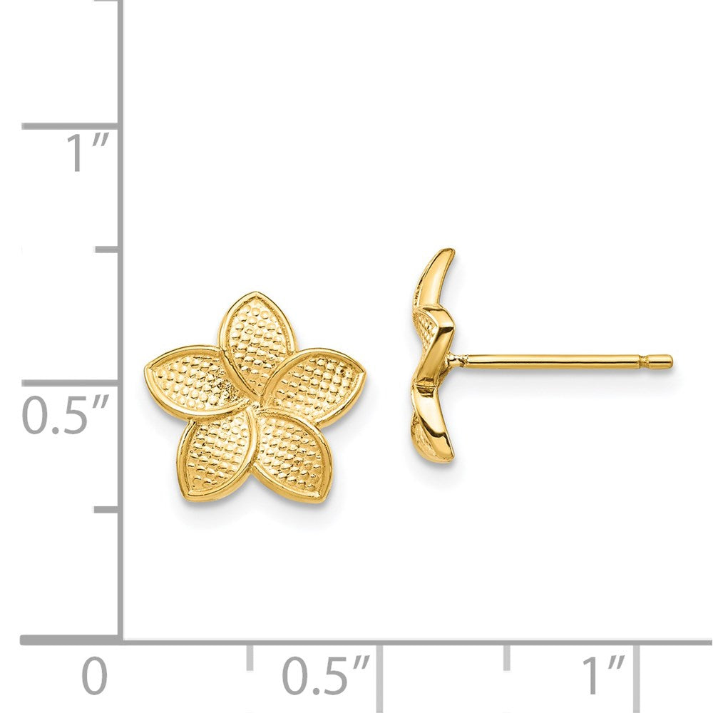14K Polished & Textured Plumeria Post Earrings