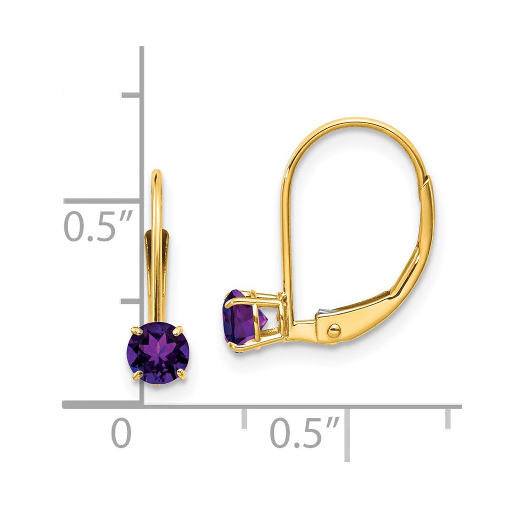 14k 4mm Round February/Amethyst Leverback Earrings