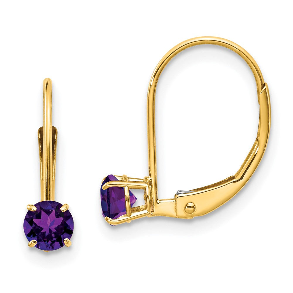 Polished;14k Yellow gold;Leverback;Genuine;Amethyst