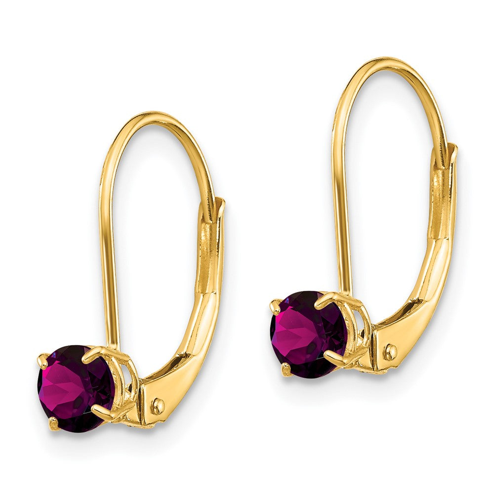 14k 4mm Round June/Rhodolite Garnet Leverback Earrings