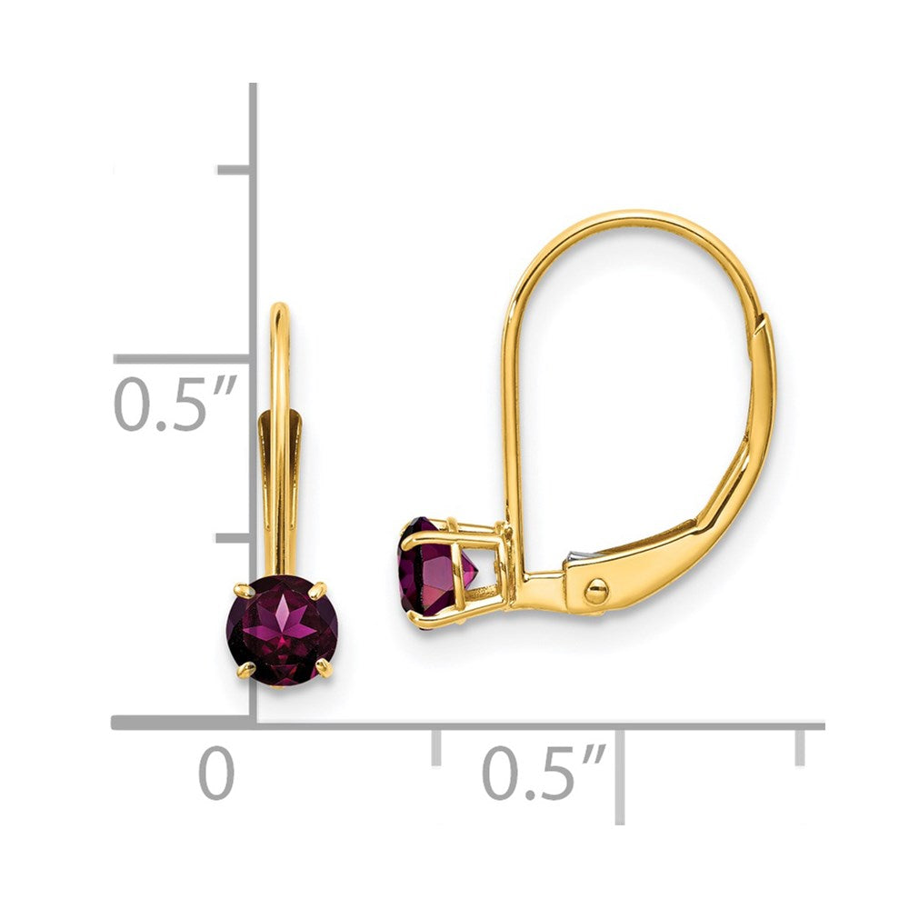 14k 4mm Round June/Rhodolite Garnet Leverback Earrings