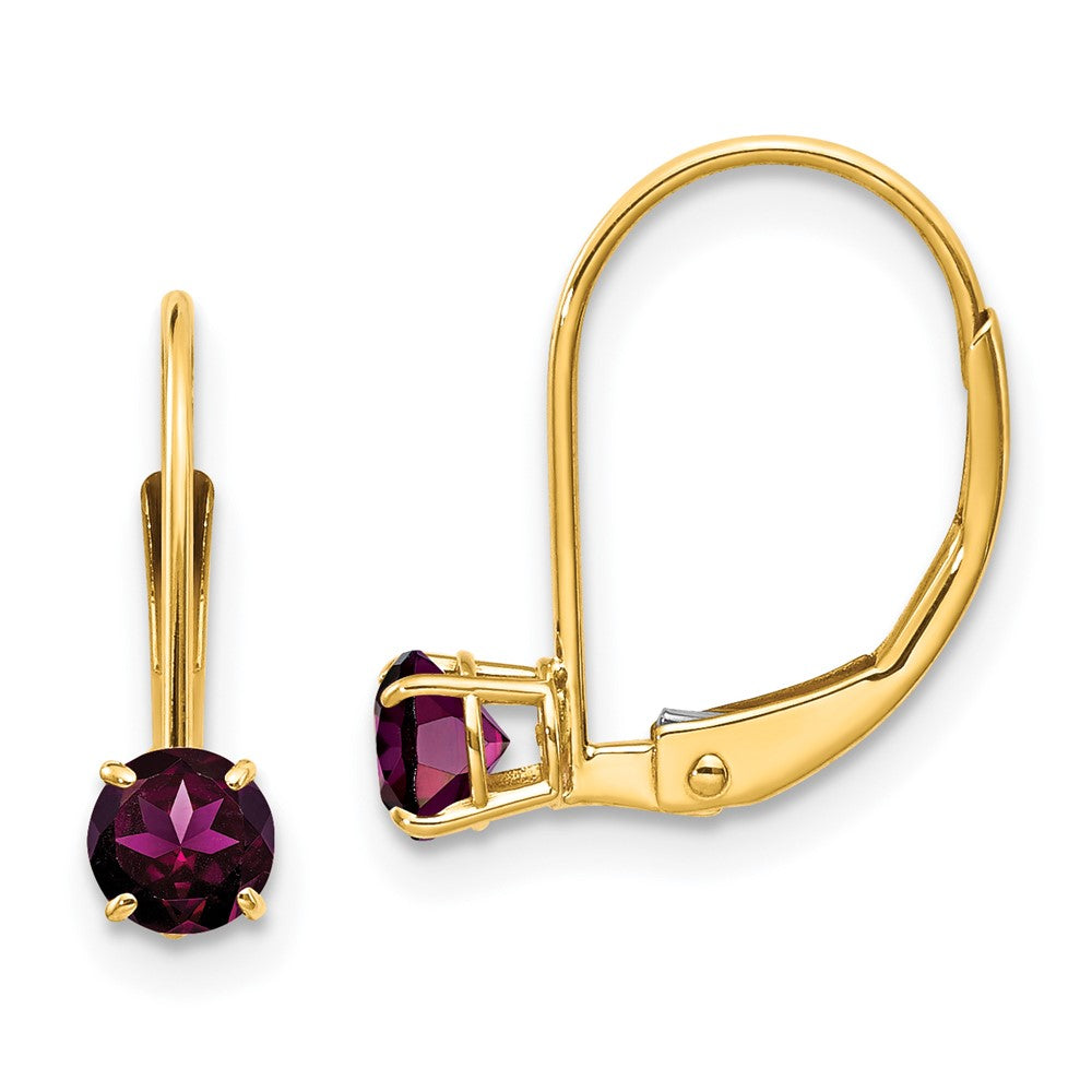 Polished;14k Yellow gold;Leverback;Genuine;Rhodolite garnet