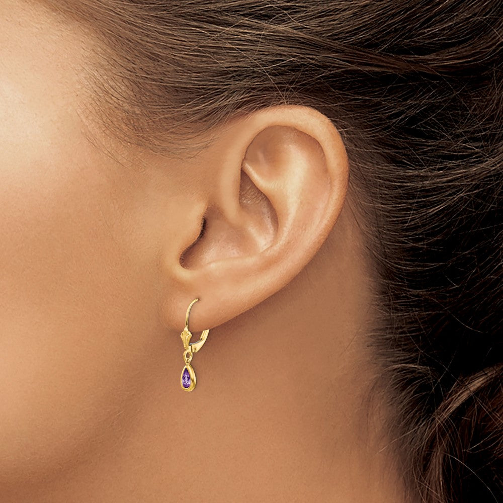 14k 6x4mm Pear Bezel February/Amethyst Leverback Earrings