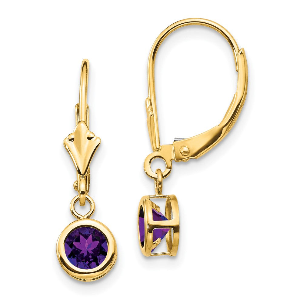 Polished;14k Yellow gold;Leverback;Amethyst;Round