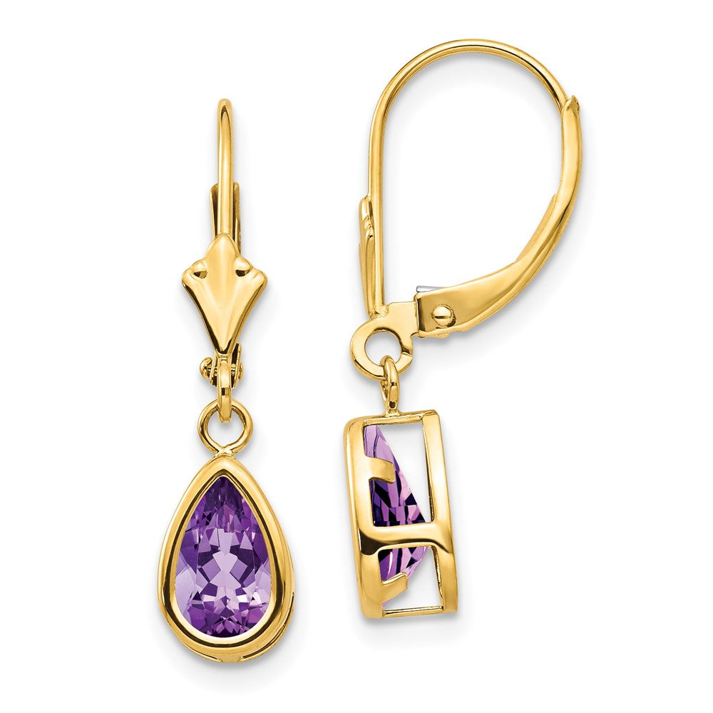 Polished;14k Yellow gold;Leverback;Amethyst