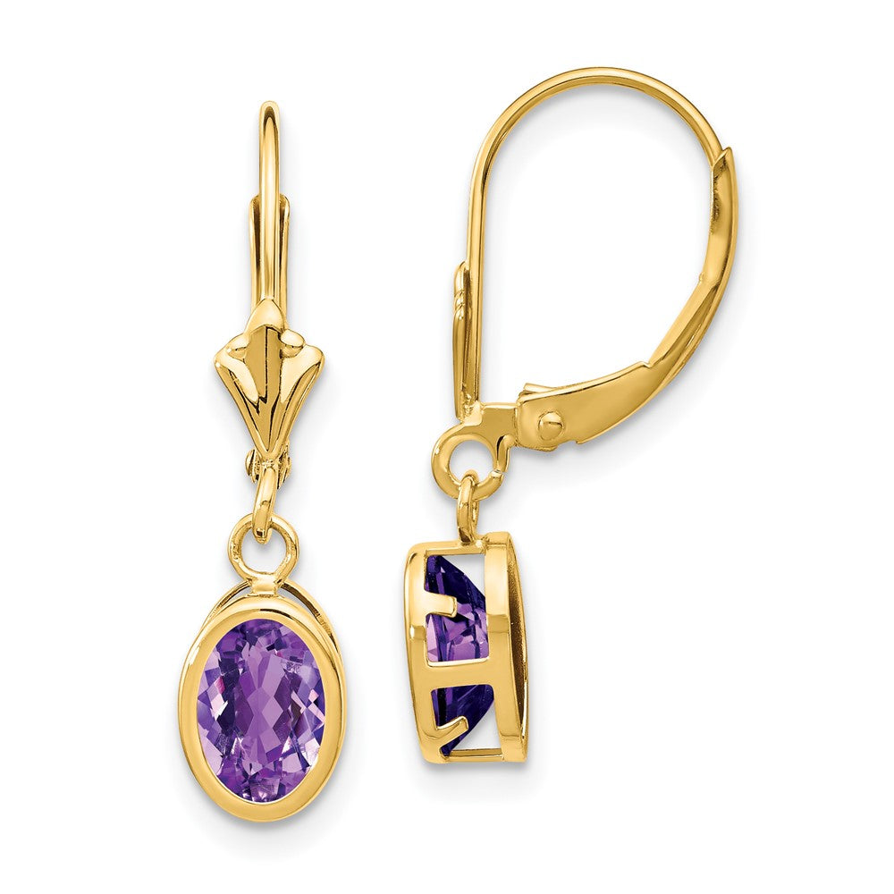 Polished;14k Yellow gold;Leverback;Amethyst