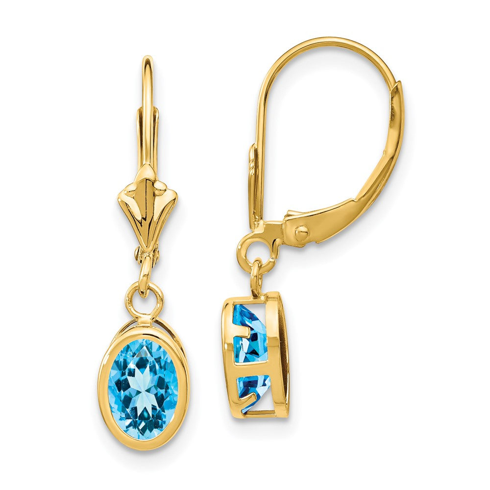 Polished;14k Yellow gold;Leverback;Blue topaz