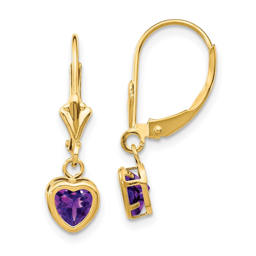 Polished;14k Yellow gold;Leverback;Amethyst