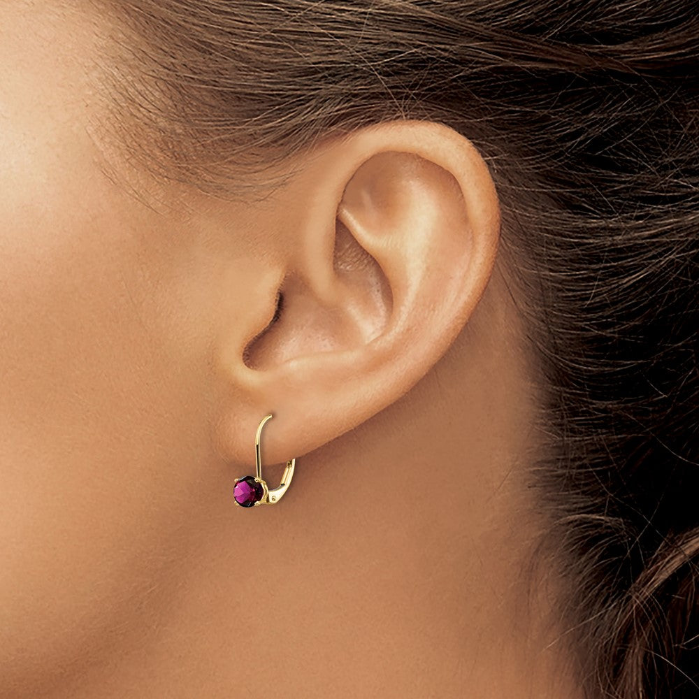 14k 5mm Round Amethyst Leverback Earrings