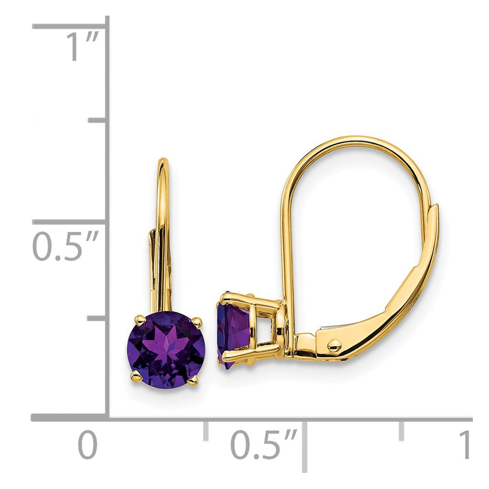 14k 5mm Round Amethyst Leverback Earrings