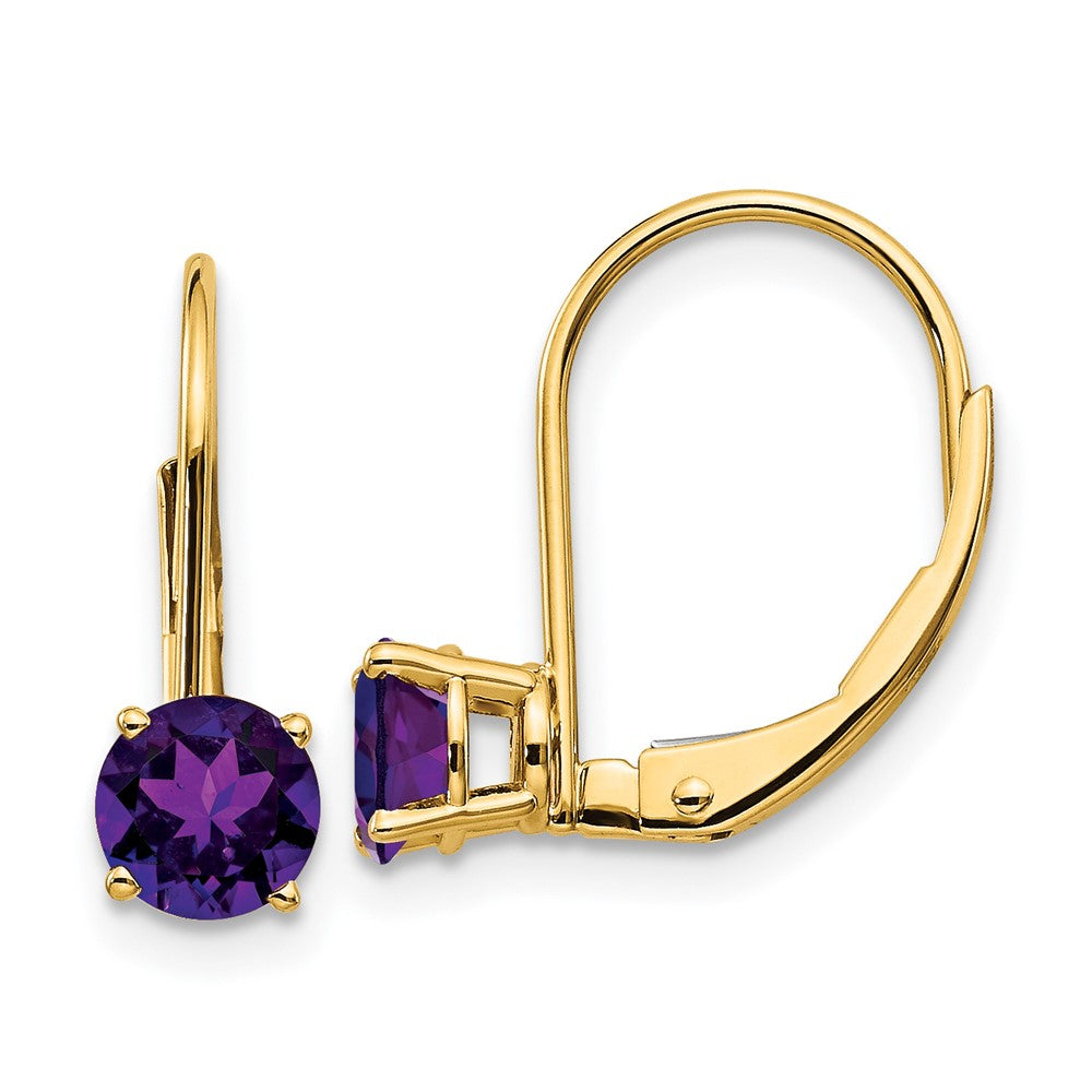 Polished;14k Yellow gold;Leverback;Amethyst;Round