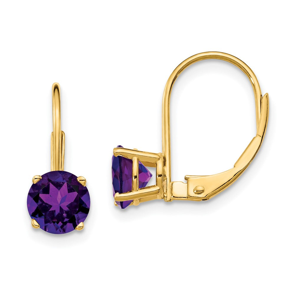 Polished;14k Yellow gold;Leverback;Amethyst;Round