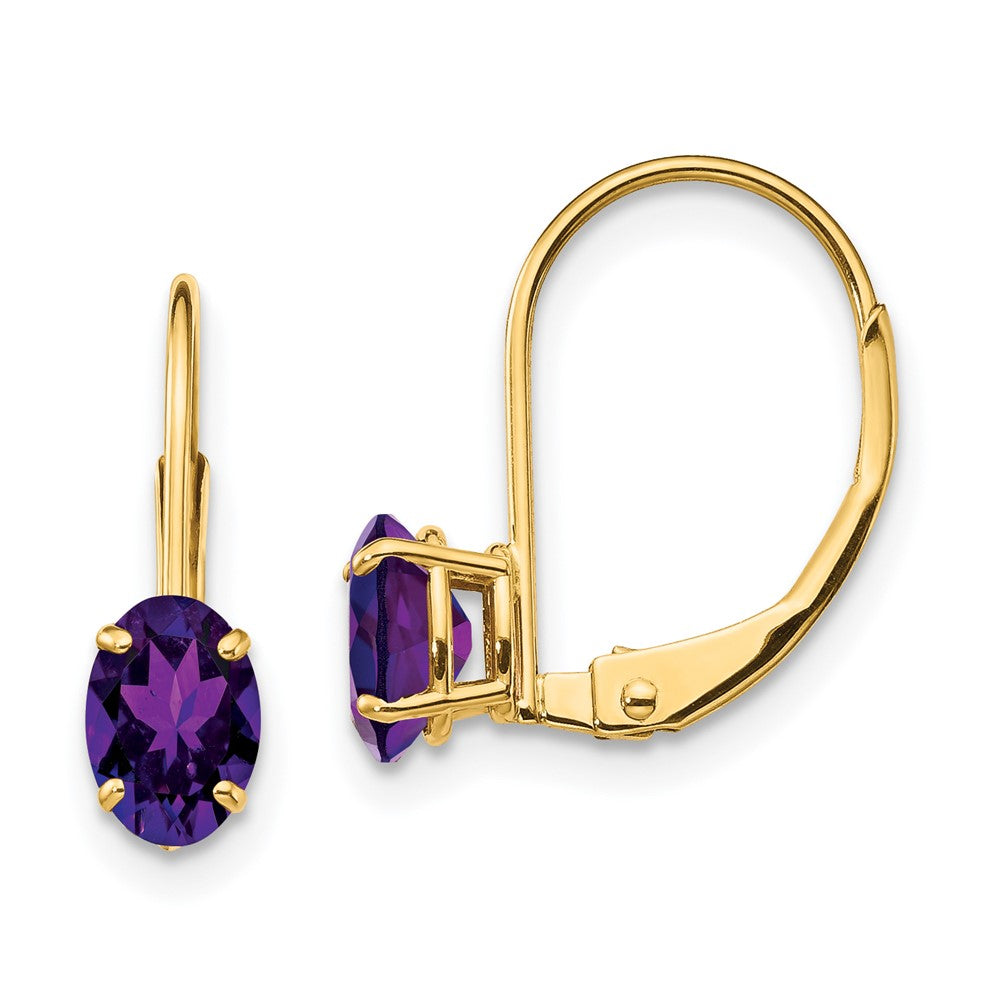 Polished;14k Yellow gold;Leverback;Amethyst