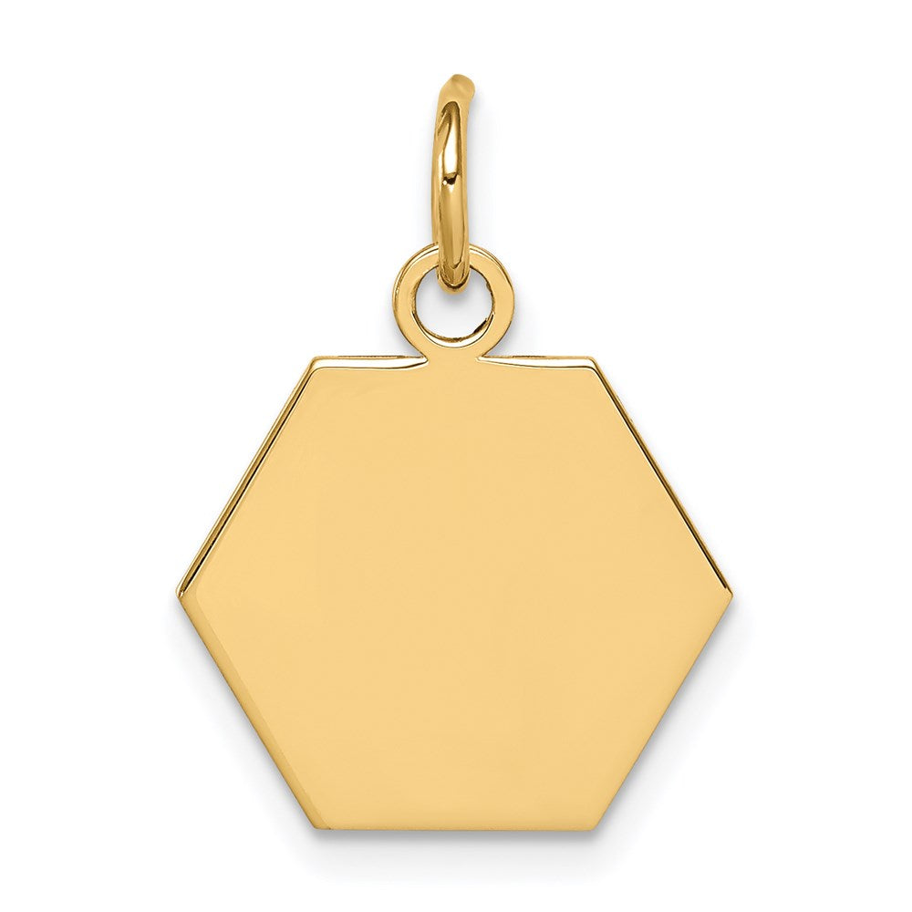 14k 15mm Hexagon Non-enameled Medical Jewelry Pendant