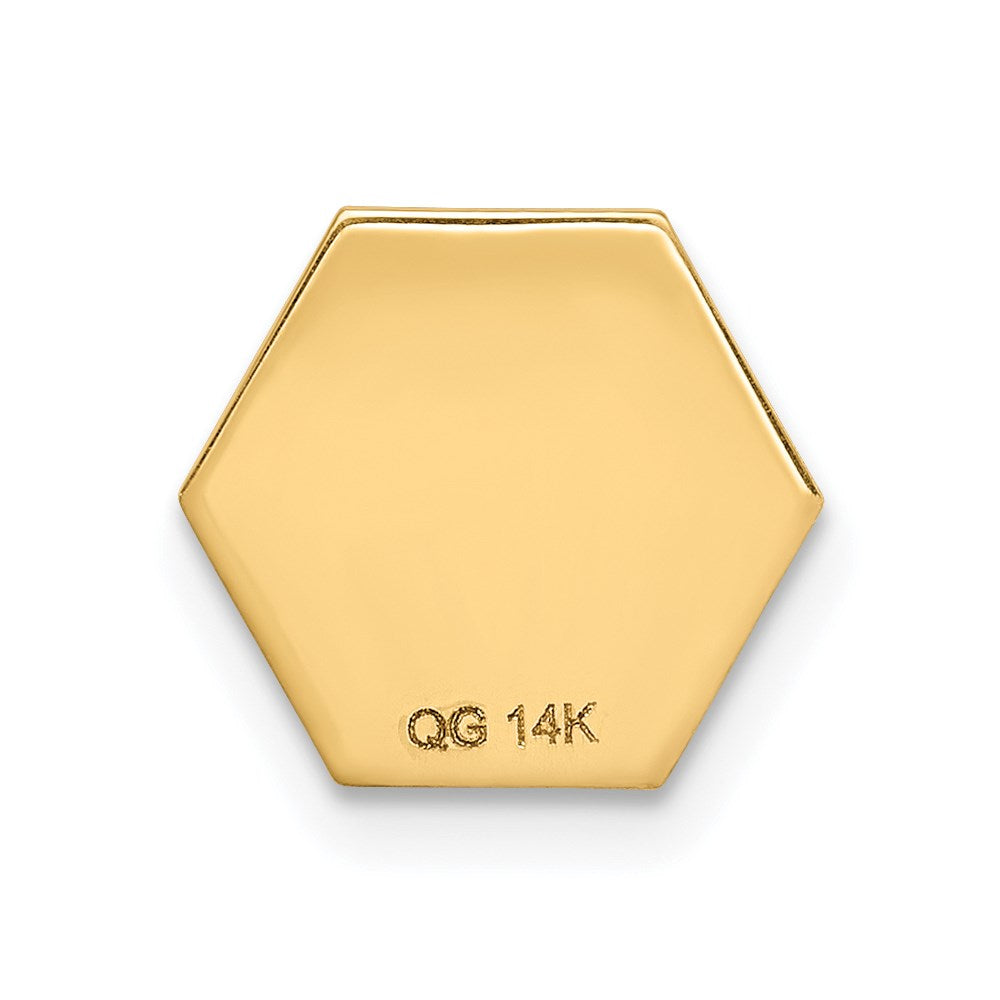 14k 9.5mm Hexagon Non-enameled Attachable Medical  Jewelry Emblem