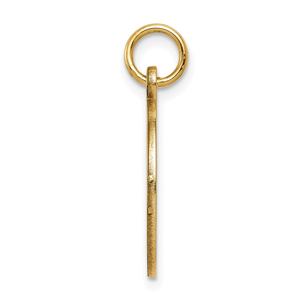 14k 16mm Round Non-enameled Medical Jewelry Pendant