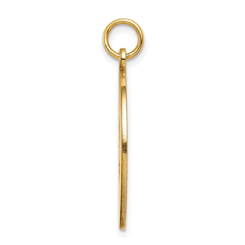14k 22mm Round Non-enameled Medical Jewelry Pendant