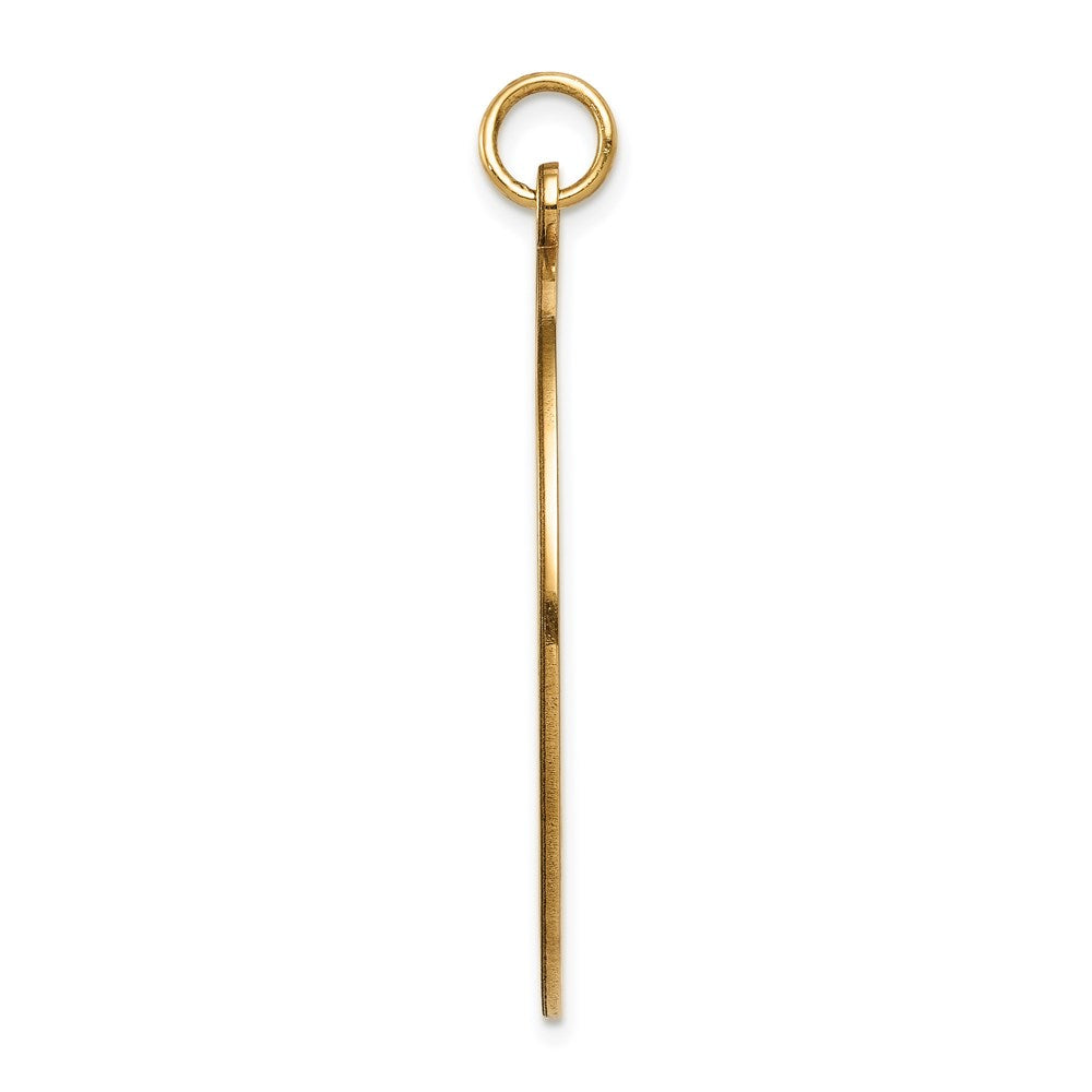 14k 32mm Round Non-enameled Medical Jewelry Pendant