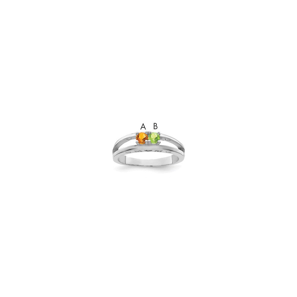 14k White Gold Family Jewelry Ring Mounting