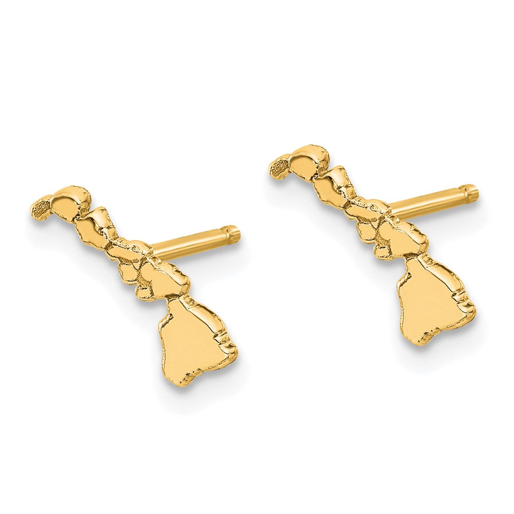 Sterling Silver/Gold-plated Hawaii State Earrings