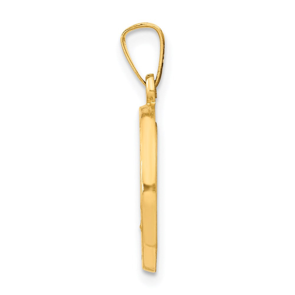14k Polished and Satin Hollow Miraculous Medal Round Pendant