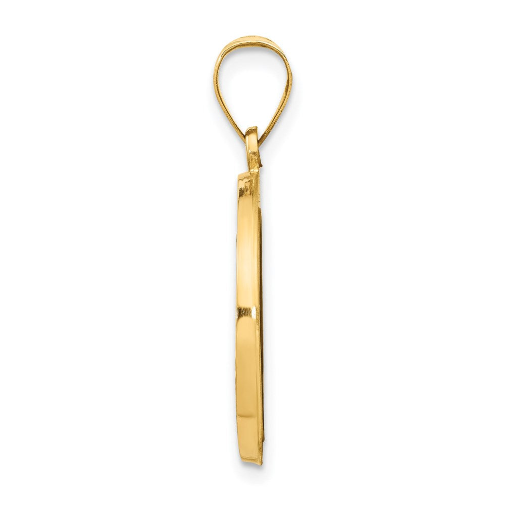 14k Polished and Satin Hollow Miraculous Medal Round Pendant