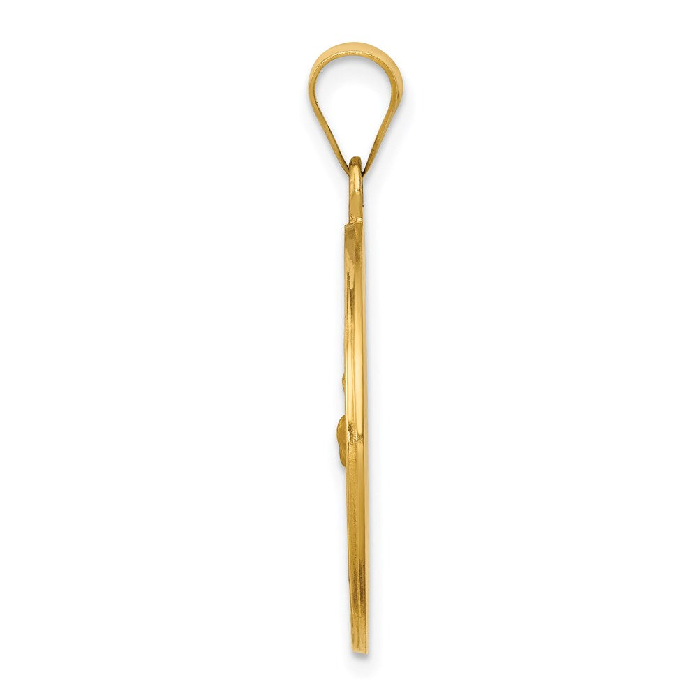 14k Polished and Satin Hollow St Francis Medal Round Pendant