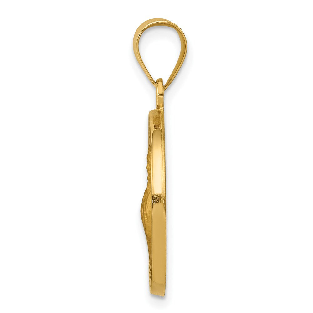 14k Polished and Satin Hollow St Francis of Assisi Medal Round Pendant