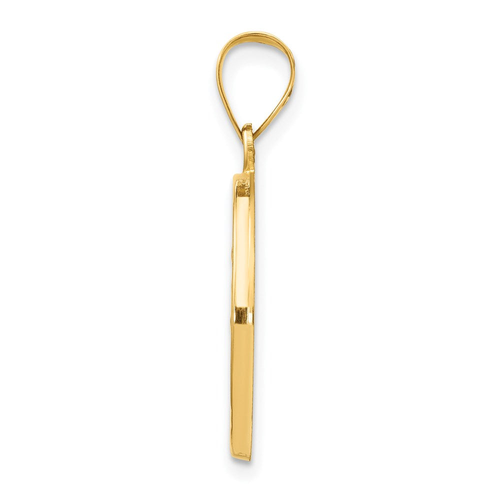 14k Polished and Satin Hollow St Luke Medal Round Pendant