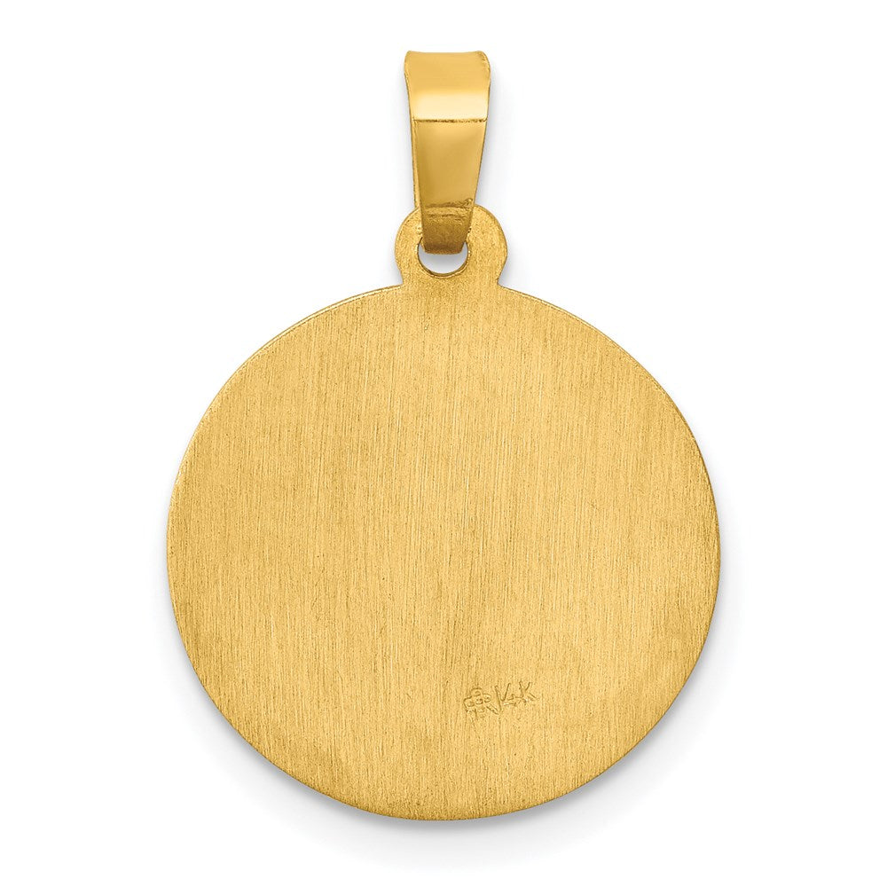 14k Polished and Satin Hollow St Luke Medal Round Charm