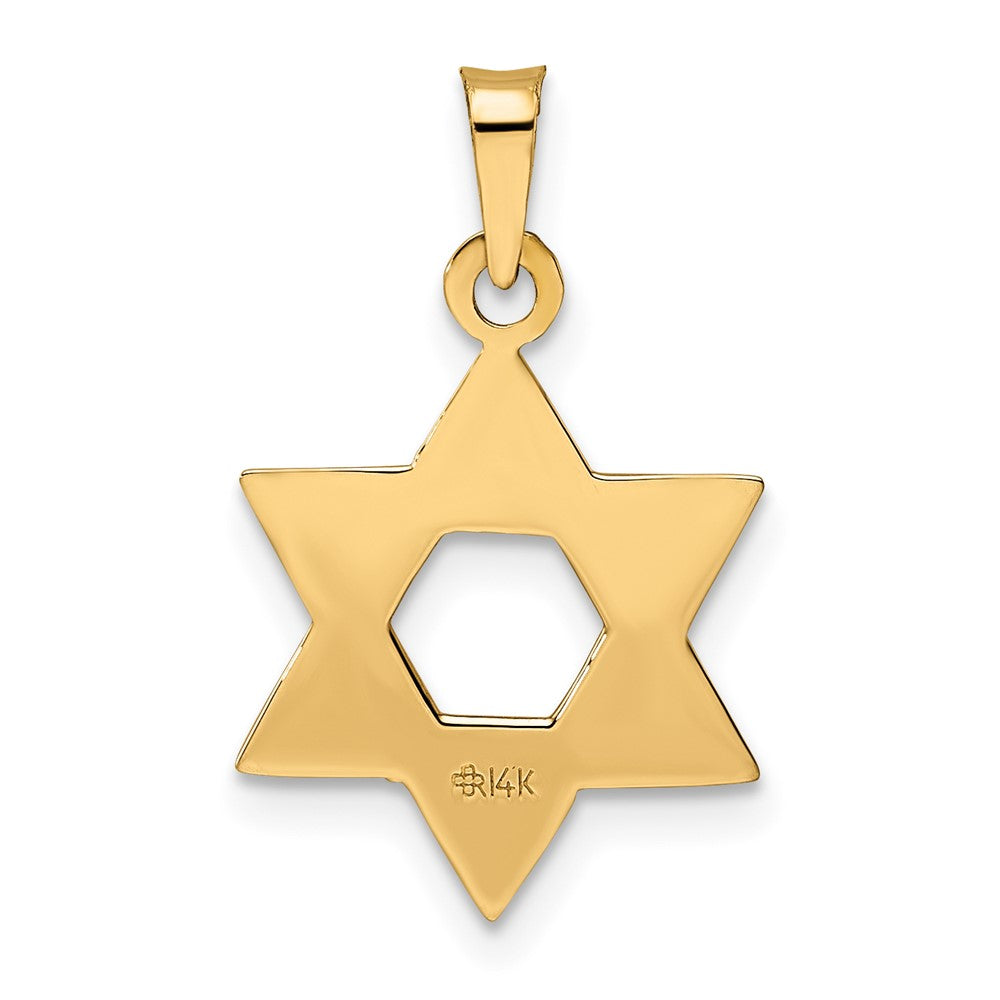 14k Rose Gold Polished Solid Star of David Pendant