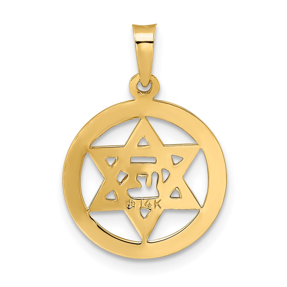 14k Polished Blue Enameled Solid Star of David in Circle Pendant