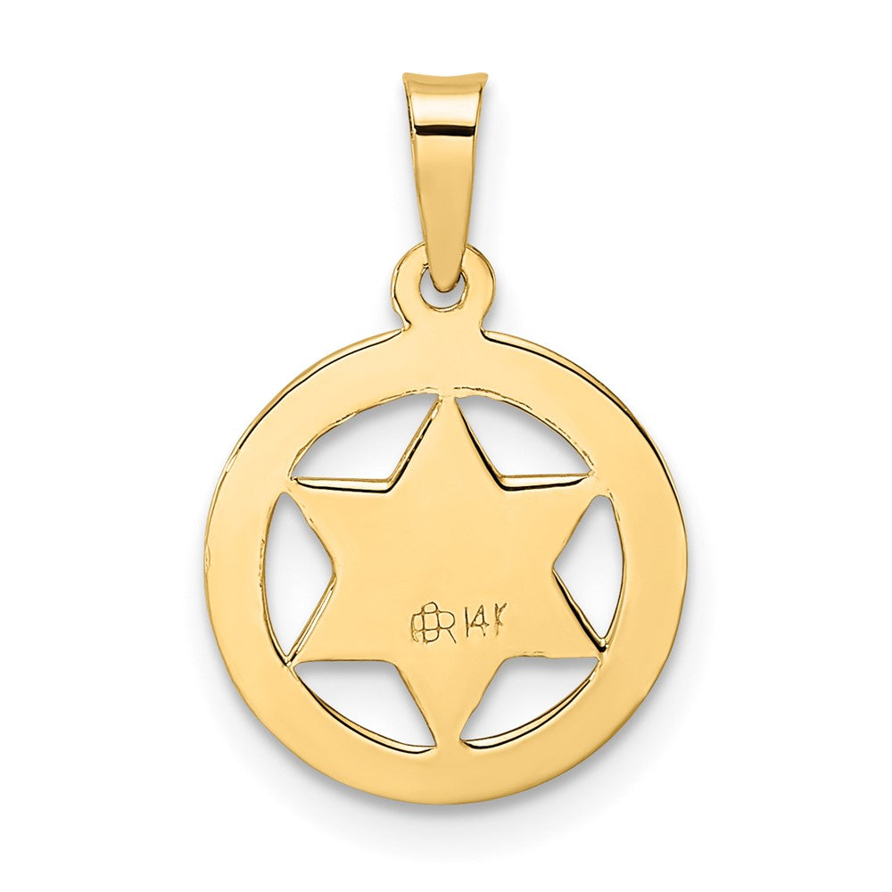 14k Polished and Textured Solid Star of David in Round Frame Pendant
