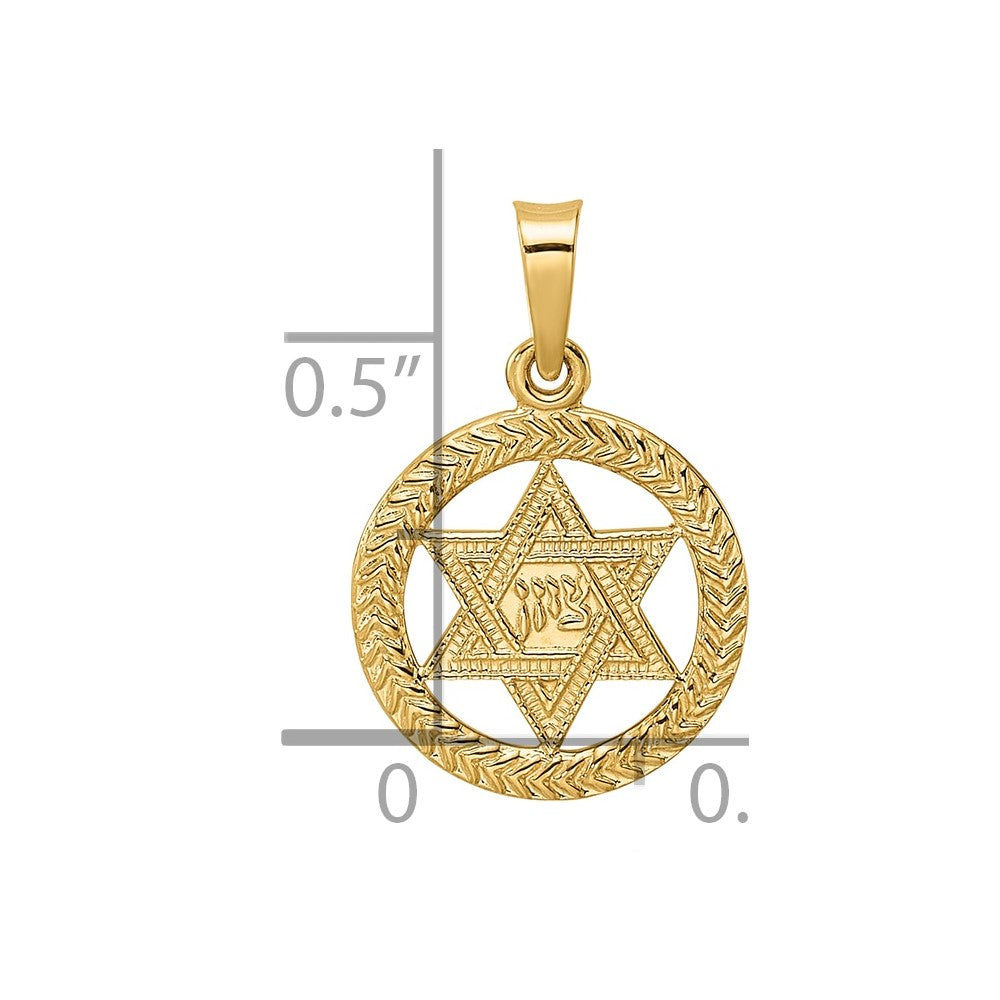 14k Polished and Textured Solid Star of David in Round Frame Pendant