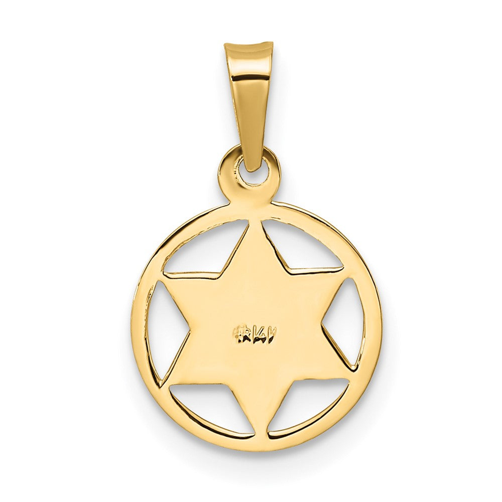 14k Polished Solid Blue Enameled Star of David in Circle Frame Pendant