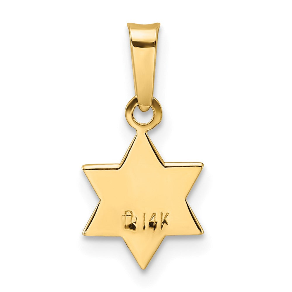 14k Polished Blue and White Enameled Solid Star of David Pendant
