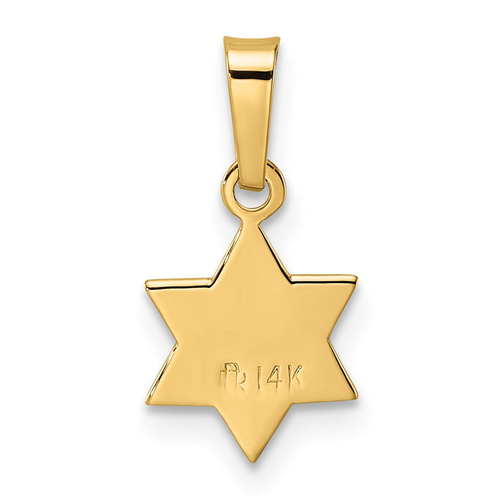 14k Polished and Textured Solid Star of David Pendant