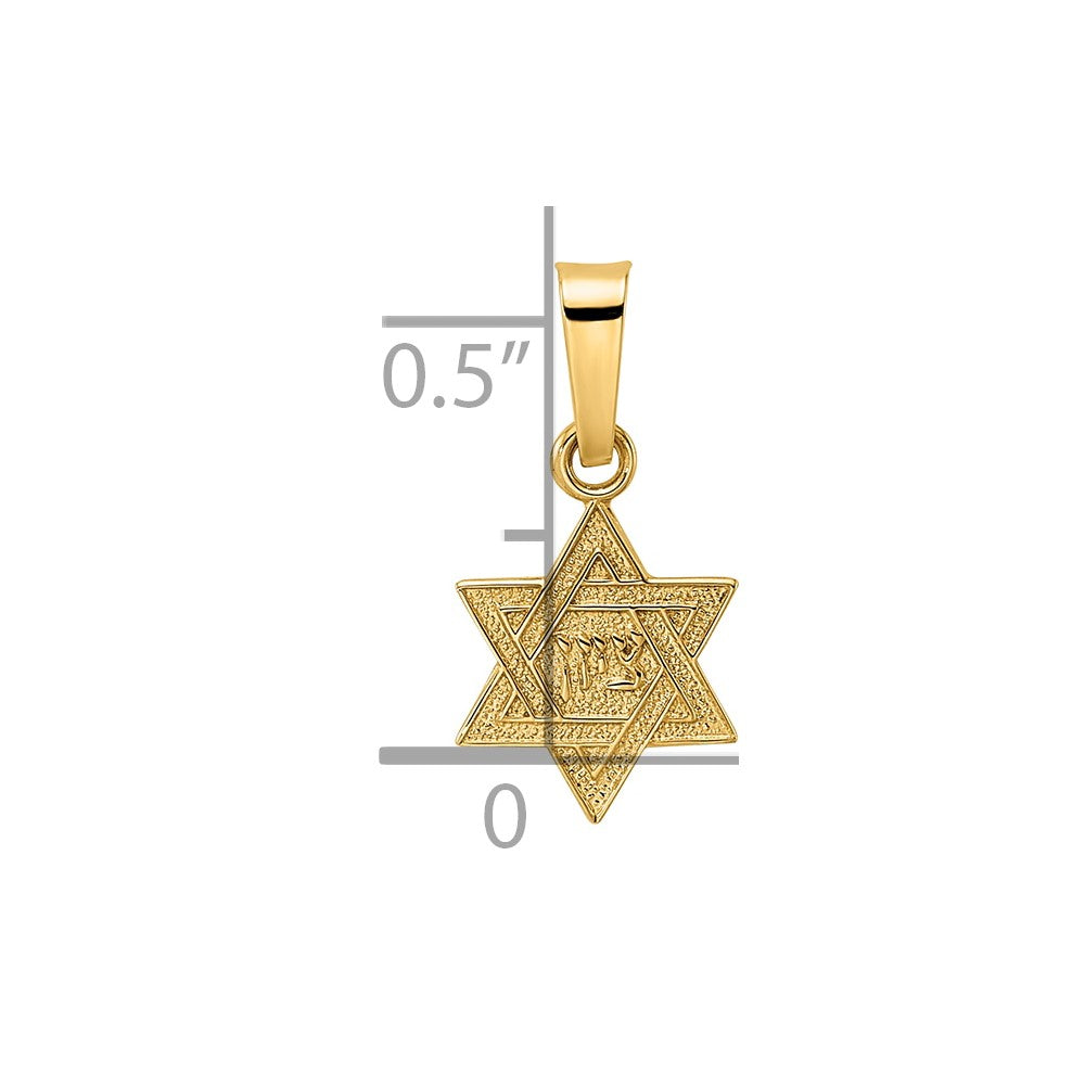 14k Polished and Textured Solid Star of David Pendant