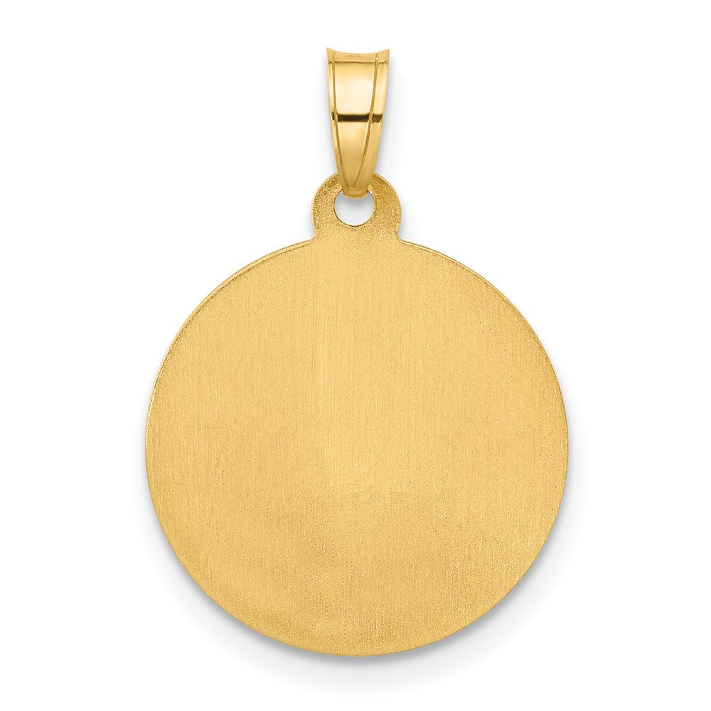 14k Polished and Satin Hollow Our Lady of Mt. Carmel Medal Round Pendant