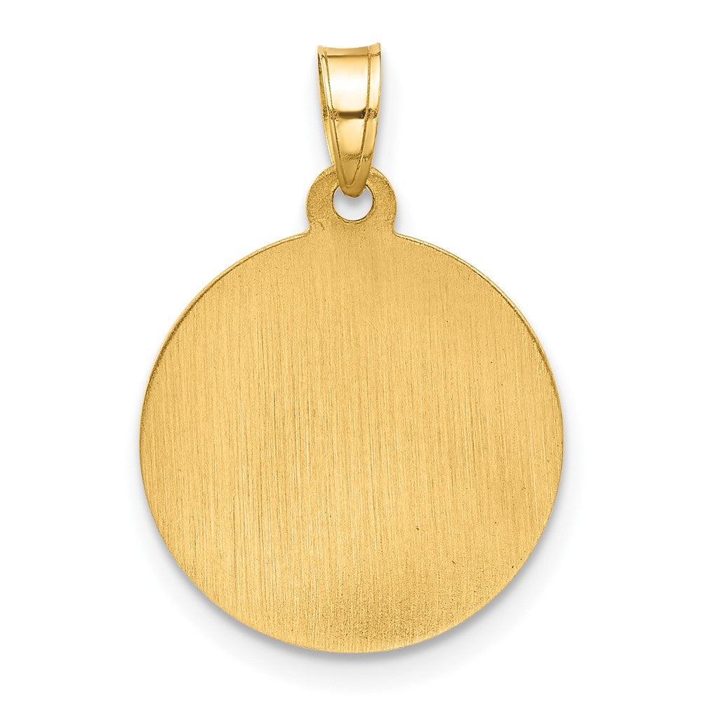 14K Polished and Satin Hollow Miraculous Medal Plain Back Pendant