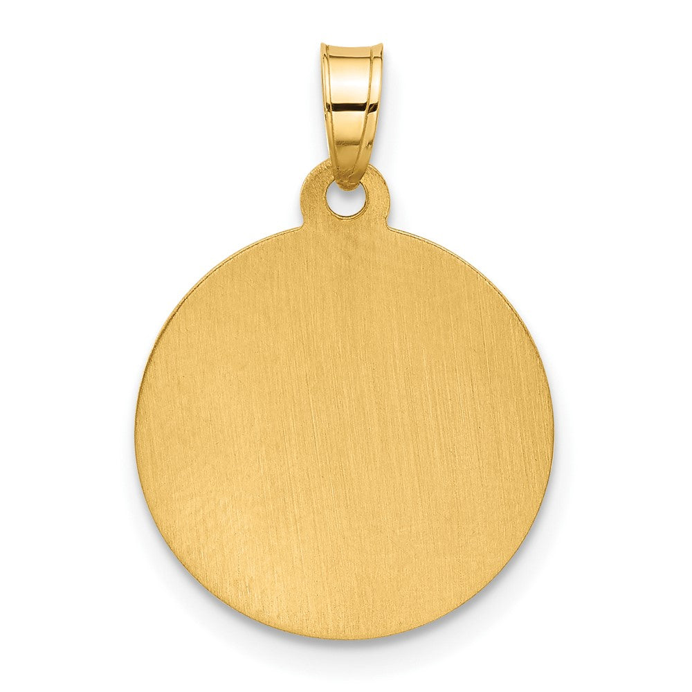 14K and White Rhodium Polished and Satin Hollow Miraculous Medal Plain Back Pendant