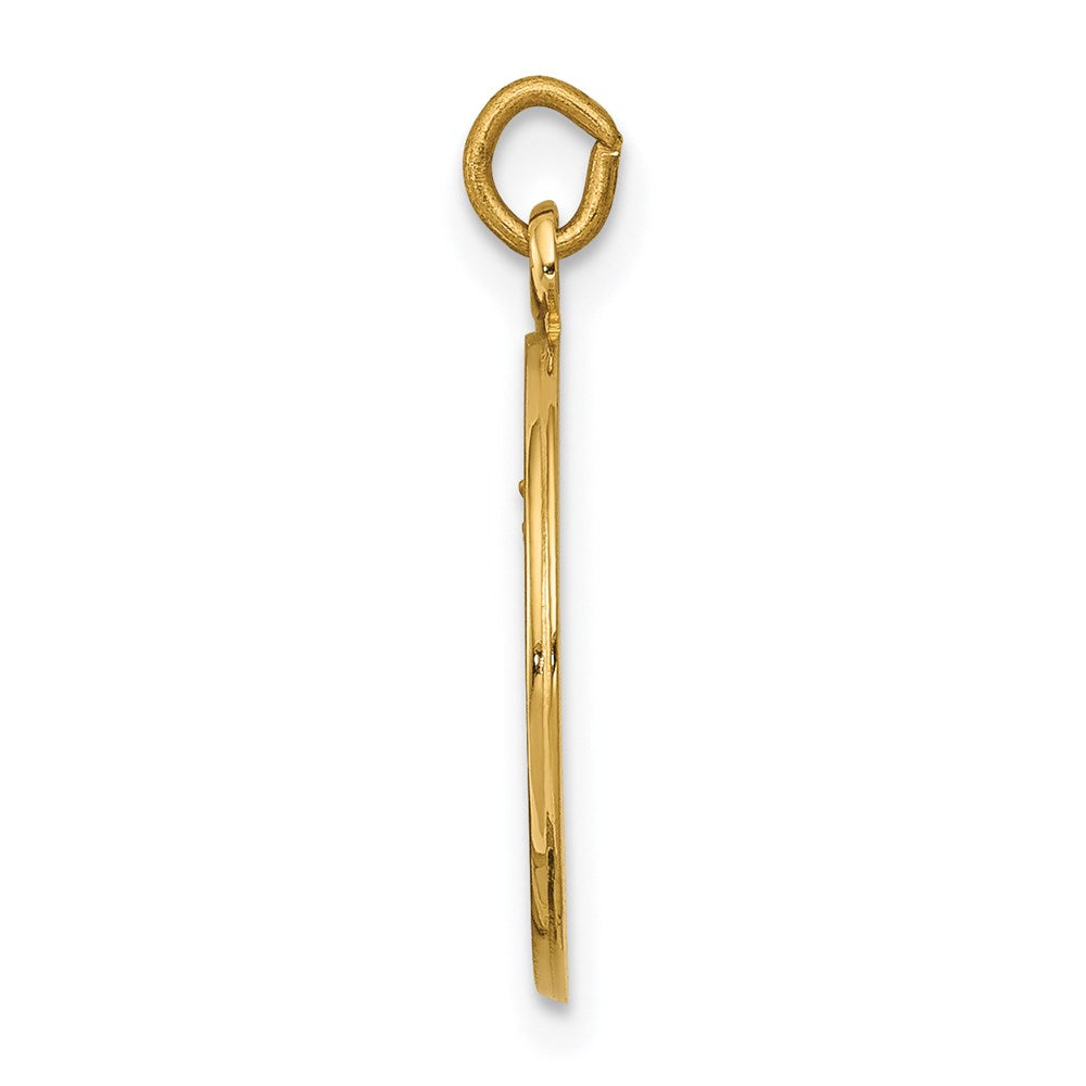 14k Polished and Satin Solid Our Lady of Mt. Carmel Medal Round Charm
