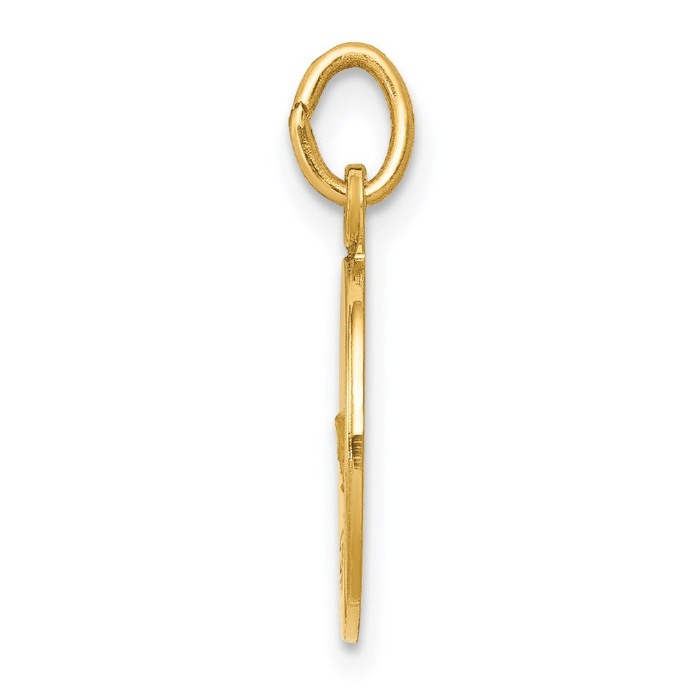 14k Polished and Satin Solid CONFIRMATION Medal Round Pendant